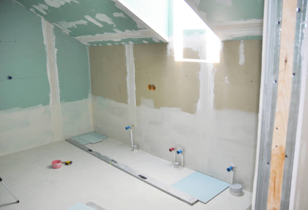 Best Real Estate Mold Inspection  in Round Rock, TX