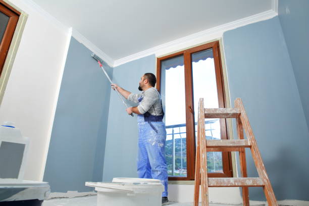 Round Rock, TX Mold Removal Company