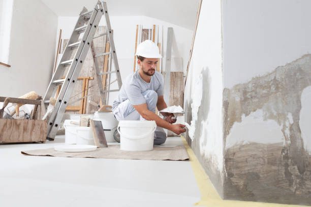 Best Post-Construction Mold Inspection  in Round Rock, TX