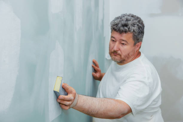 Best Attic Mold Removal  in Round Rock, TX
