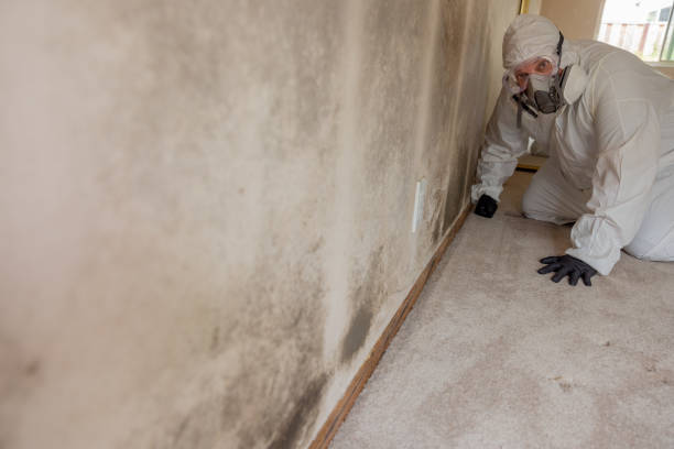 Best Post-Remediation Verification Testing  in Round Rock, TX