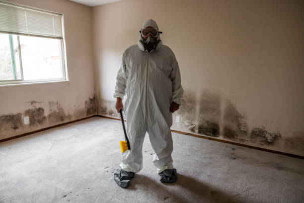 Dehumidification Services in Round Rock, TX