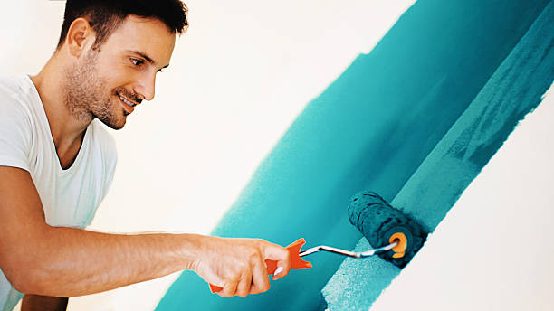 Best Environmental Consulting for Mold Prevention  in Round Rock, TX